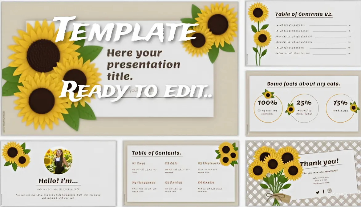 Template for presentation ready to edit..